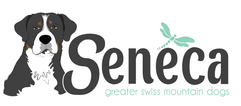 Seneca Greater Swiss Mountain Dogs
